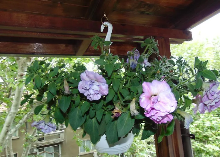 Aleksandrovska * Burgaz