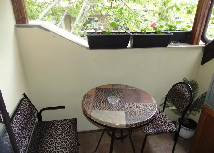 Daire Aleksandrovska Burgaz